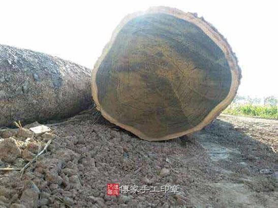 電腦刻印印章:山形綠檀開運印章實際成品、印章作品分享、山形綠檀印章材質介紹。(臍帶印章、肚臍章、肚臍印章,一圓一方),傳家手工印章台中店。2020.07.03照片3264033.jpg 電腦刻印印章:山形綠檀開運印章實際成品、印章作品分享、山形綠檀印章材質介紹。(臍帶印章、肚臍章、肚臍印章,一圓一方),傳家手工印章台中店。2020.07.03照片3264033.jpg