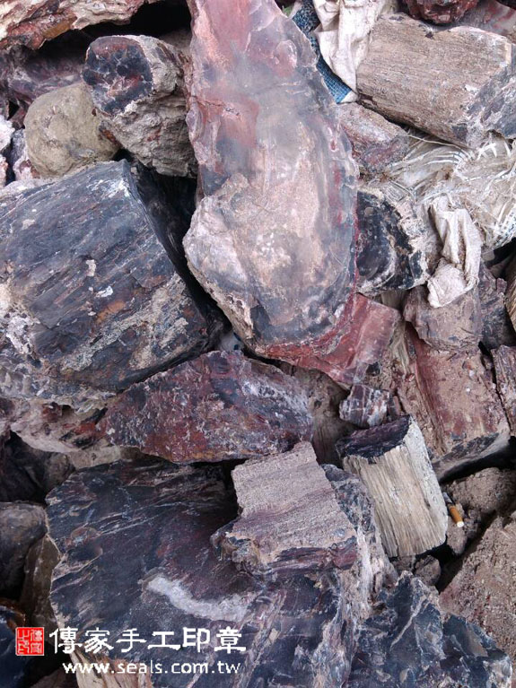 木化石的原礦照片9