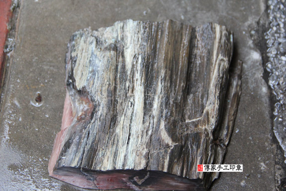 木化石的原礦照片5