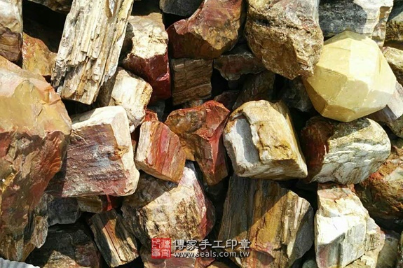 木化石的原礦照片12