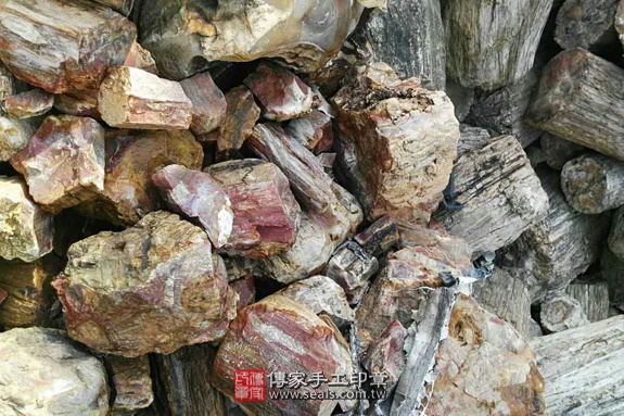 木化石的原礦照片13