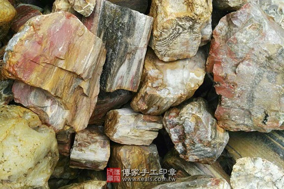 木化石的原礦照片14