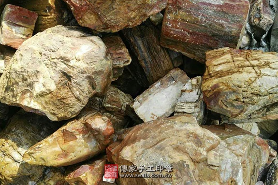 木化石的原礦照片15