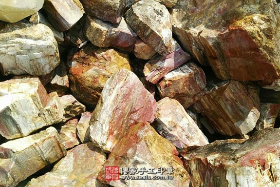 木化石的原礦照片16