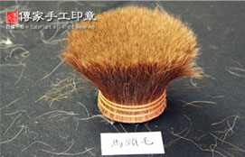 馬頸毛的實際樣子實圖
