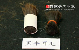 黑牛耳毛的實際樣子實圖子