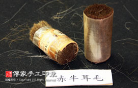 赤牛耳毛的實際樣子實圖