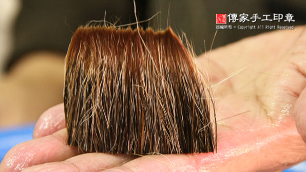 排列毛鋒：將兼毫的筆心毛料，重疊在一起，然後再次混合，以及再次用牛骨刷子刷順毛料圖