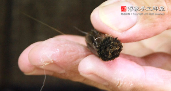 製作筆心：將排好的兼毫捲起來圖