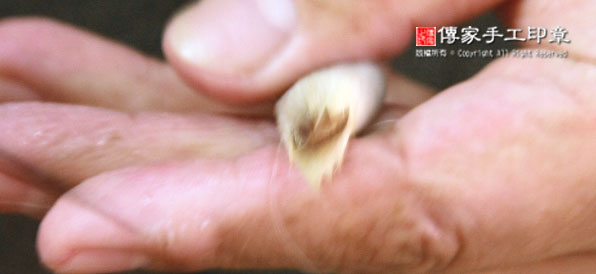 包覆毛筆的外皮毛料：外皮的羊毛放置兼毫的筆心上，並且順時針捲起來圖