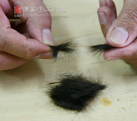 依照胎毛的方向，找出髮根和毛鋒