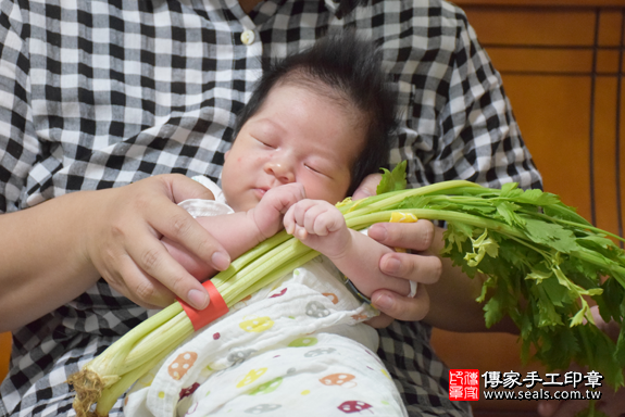 滿月剃頭、嬰兒剃頭、嬰兒理髮、寶寶剃頭、寶寶理髮、到府剃頭、到府嬰兒剃頭、到府滿月剃頭理髮。台中滿月剃頭、台中嬰兒剃頭、台中嬰兒理髮、台中寶寶剃頭、台中寶寶理髮、台中到府剃頭、台中到府嬰兒剃頭、台中到府滿月剃頭理髮。北屯滿月剃頭、北屯嬰兒剃頭、北屯嬰兒理髮、北屯寶寶剃頭、北屯寶寶理髮、北屯到府剃頭、北屯到府嬰兒剃頭、北屯到府滿月剃頭理髮。林寶寶(台中北屯區)--製作胎毛筆、臍帶章、嬰兒三寶。「寶寶滿月剃頭理髮、到府嬰兒滿月理髮」祝福和活動紀錄。照片9