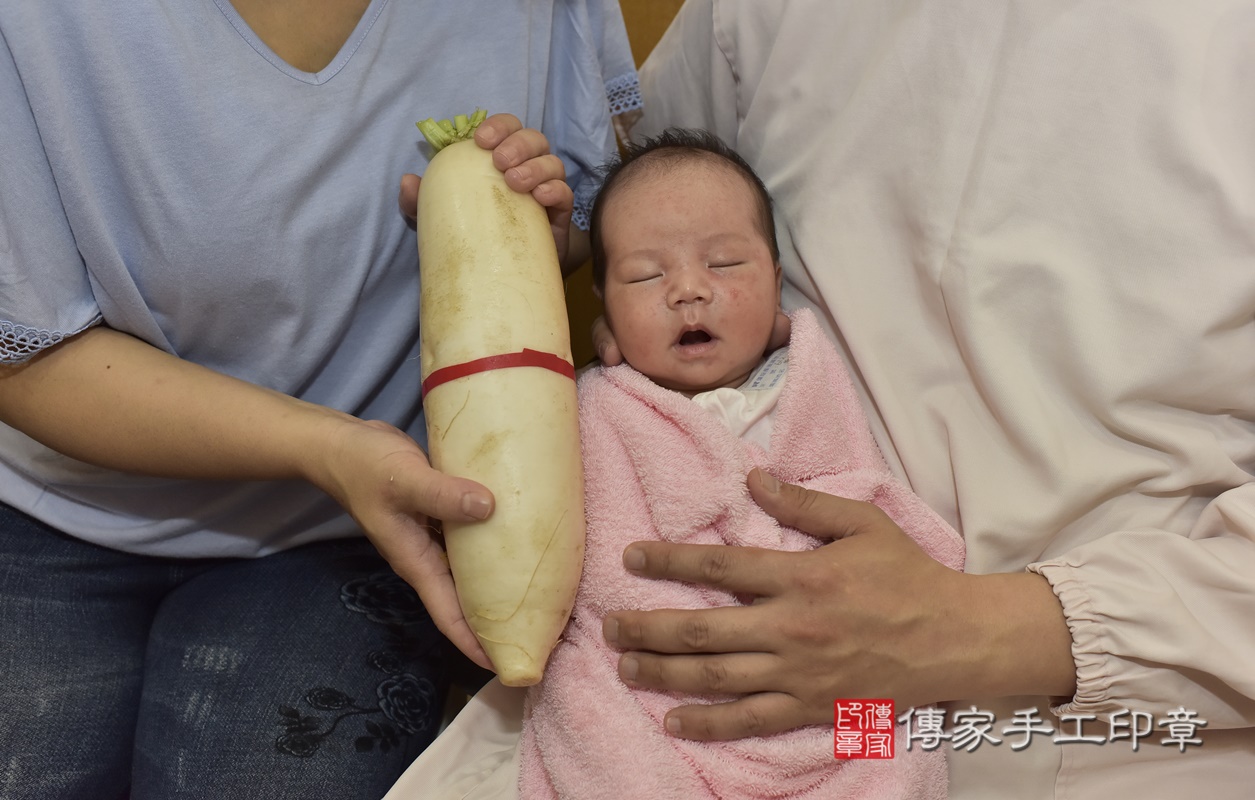 剃胎毛、滿月剃頭、嬰兒剃頭、嬰兒理髮、嬰兒剃髮、嬰兒剃胎毛、嬰兒滿月剃頭、寶寶剃頭、剃胎毛儀式、剃胎毛吉祥話、滿月剃頭儀式、滿月剃頭吉祥話、寶寶剃胎毛、寶寶滿月剃頭理髮、 新北市中和區剃胎毛、新北市中和區滿月剃頭、新北市中和區嬰兒剃頭剃胎毛、新北市中和區嬰兒理髮、新北市嬰兒剃髮、 王寶寶(新北市中和區到府嬰兒寶寶滿月剃頭理髮、到府嬰兒剃胎毛儀式吉祥話)。到府剃頭剃胎毛主持、專業拍照、DVD光碟、證書。★購買「臍帶章、肚臍章、胎毛筆刷印章」贈送：剃頭、收涎、抓周，三選一。2021.04.30照片23