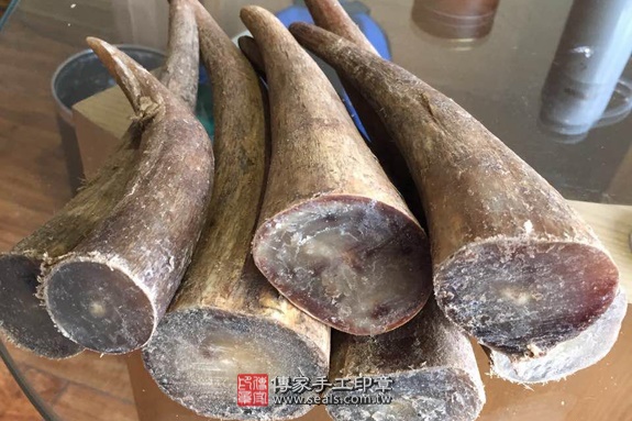 堅毅沉穩、精力旺盛~赤牛角臍帶章實際成品、印章作品分享、赤牛角印章材質介紹。(臍帶印章、肚臍章、肚臍印章,胎毛印章,一圓一方)傳家手工印章新北店。2022.06.02 堅毅沉穩、精力旺盛~赤牛角臍帶章實際成品、印章作品分享、赤牛角印章材質介紹。(臍帶印章、肚臍章、肚臍印章,胎毛印章,一圓一方)傳家手工印章新北店。2022.06.02
