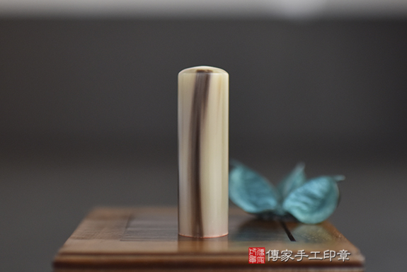 Pro-Capture One 04506.jpg