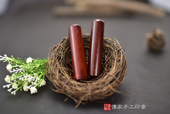 Pro-Capture One 05985.jpg