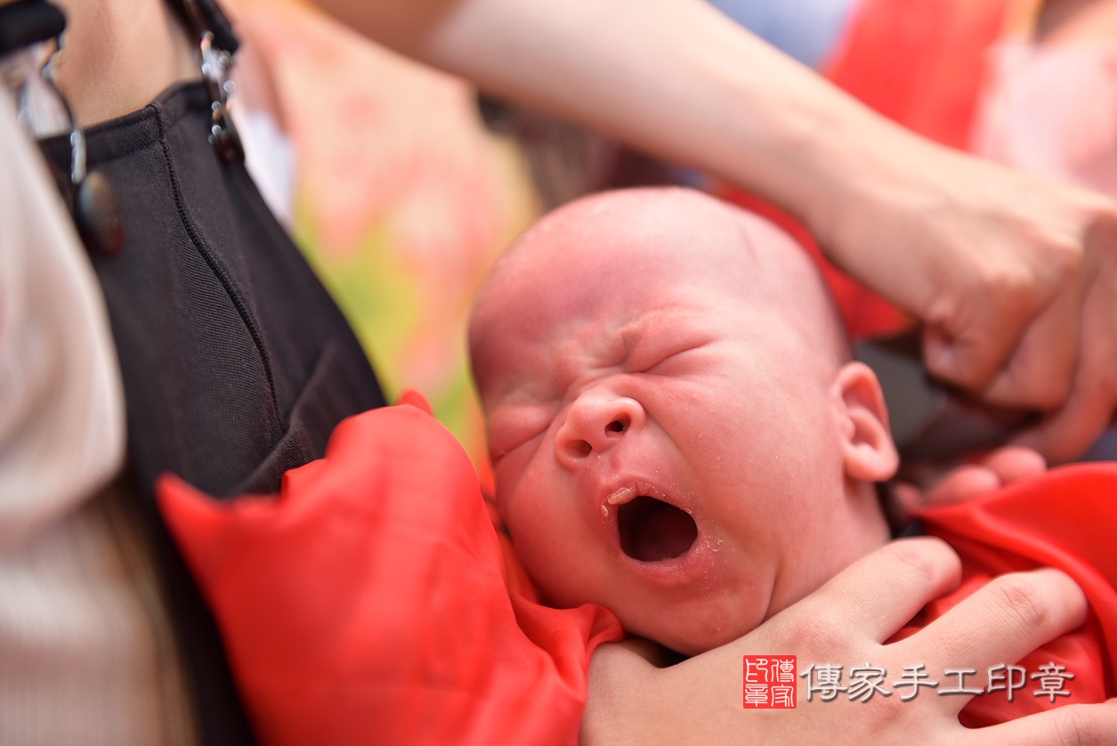 剃頭，台北剃頭，林寶寶剃頭2022.9.8剃頭，照片16