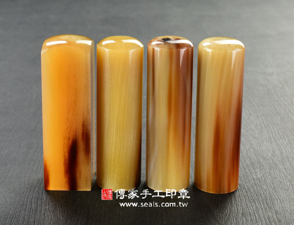 1686298305471764.jpg 鳳梨黃帶花色赤牛角-14.jpg