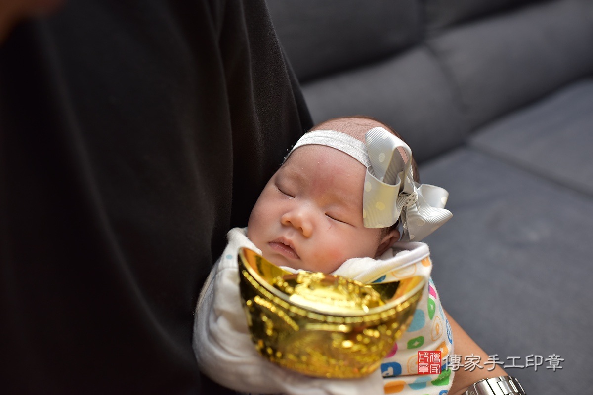 剃頭，台中剃頭，余寶寶剃頭2023.7.23剃頭，照片9