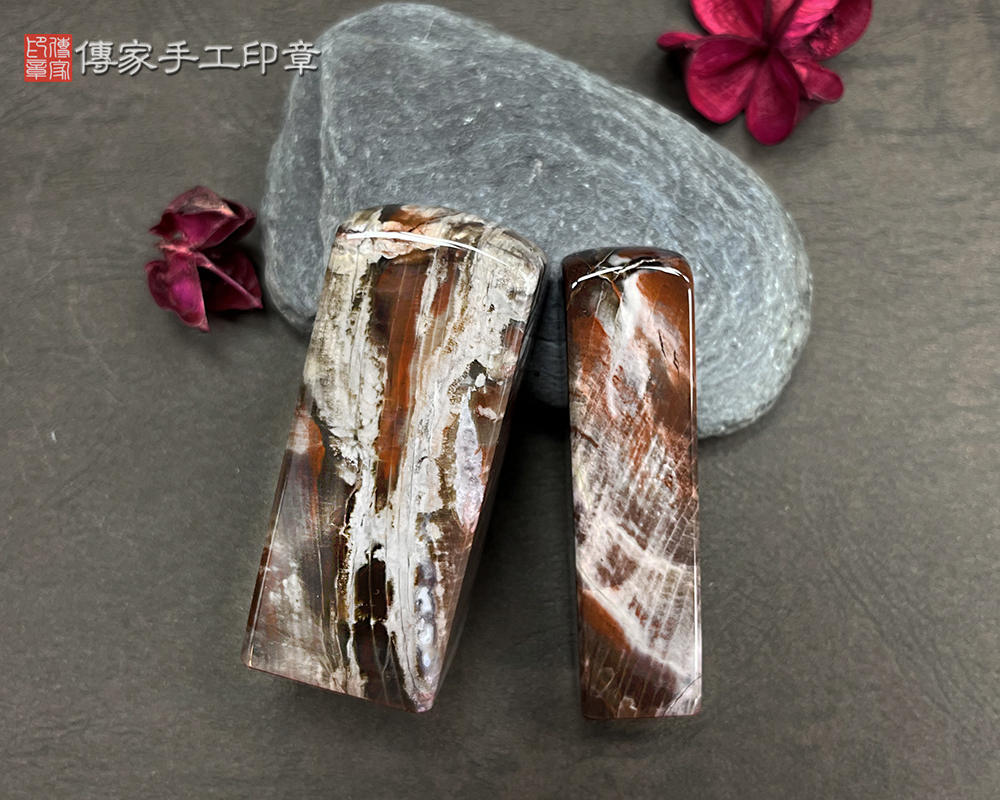 木化石 木化石