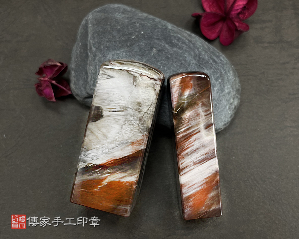 木化石 木化石