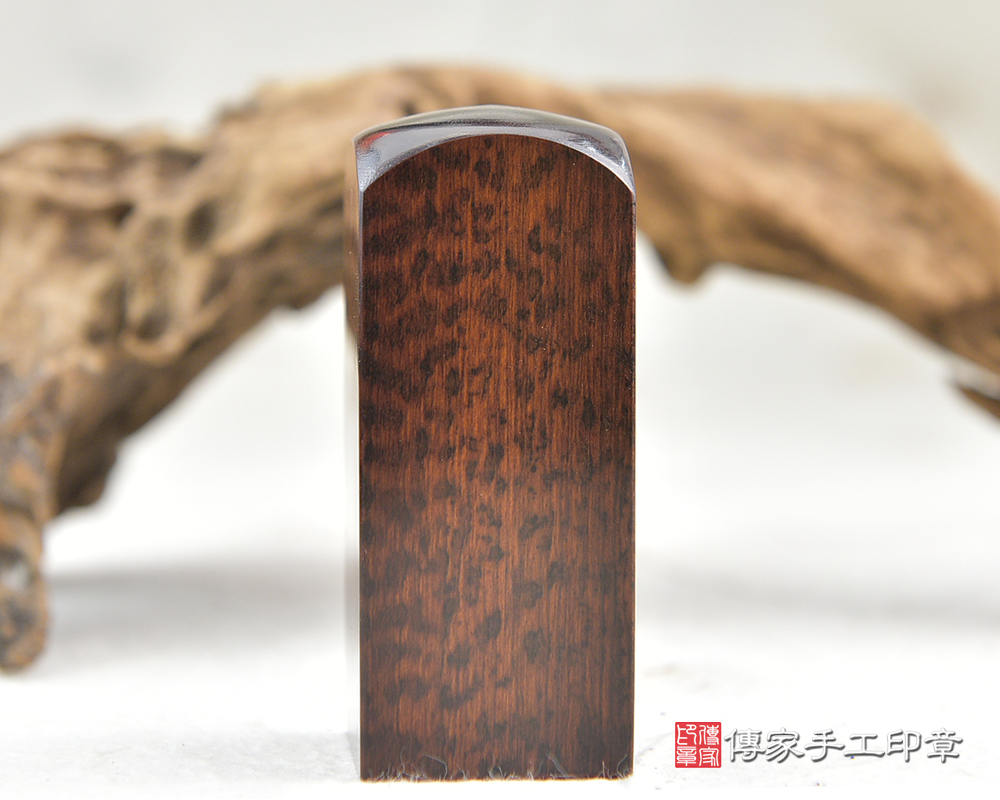 木頭界的鑽石帝王蛇木臍帶、胎毛印章-傳家手工印章 新北店 113.12.18
