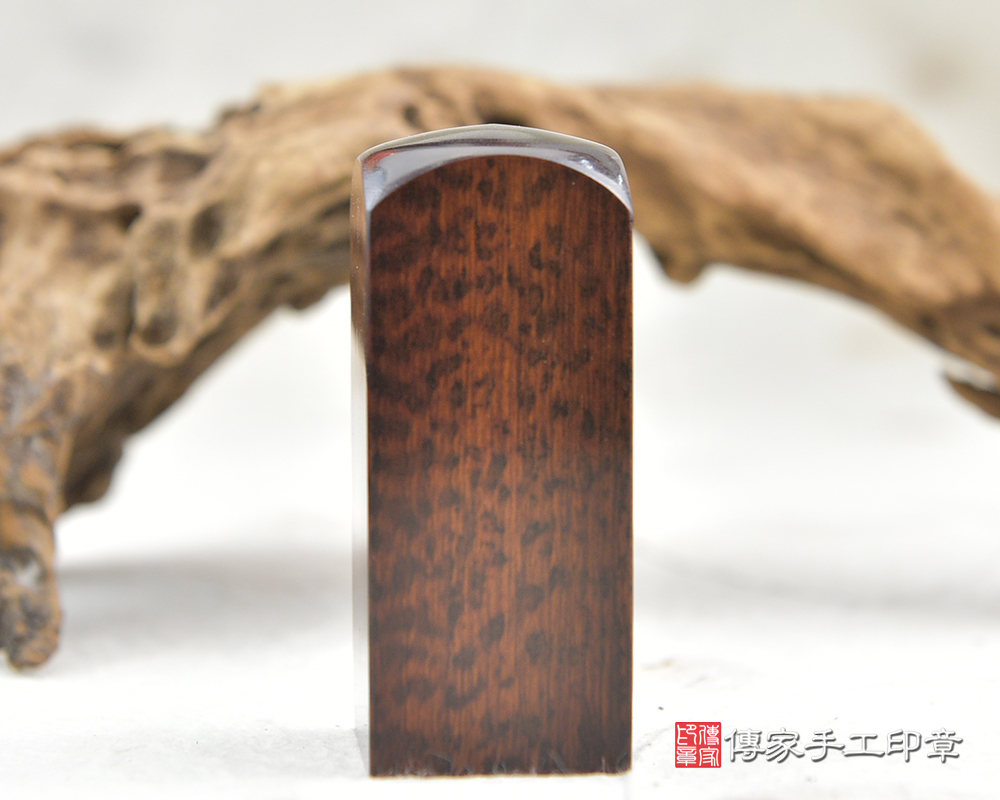 木頭界的鑽石帝王蛇木臍帶、胎毛印章-傳家手工印章 新北店 113.12.18