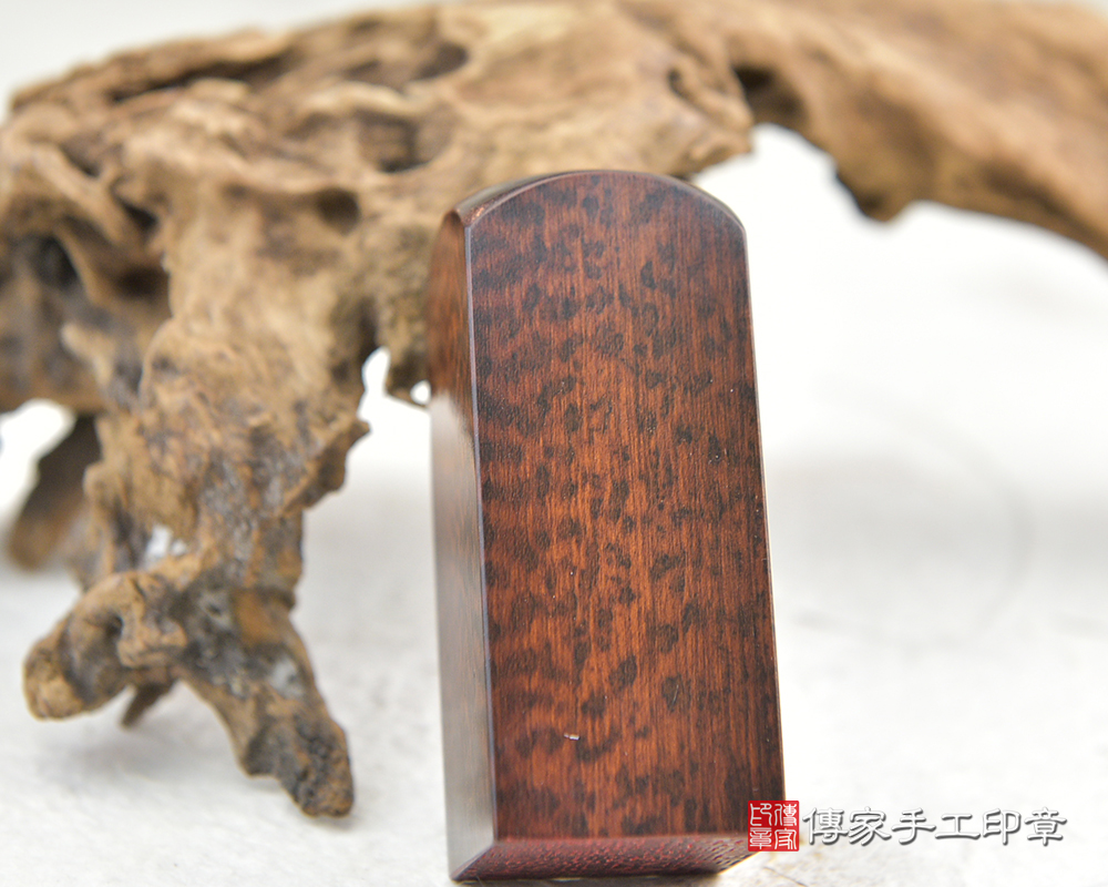 木頭界的鑽石帝王蛇木臍帶、胎毛印章-傳家手工印章 新北店 113.12.18