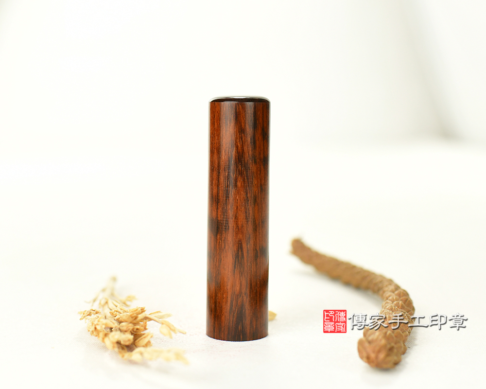 木頭界的鑽石 帝王蛇木 胎毛印章 傳家手工印章 台中店113.12.30 木頭界的鑽石 帝王蛇木 胎毛印章 傳家手工印章 台中店113.12.30