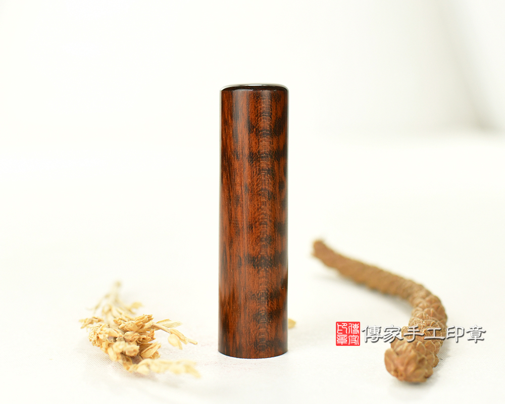 木頭界的鑽石 帝王蛇木 胎毛印章 傳家手工印章 台中店113.12.30 木頭界的鑽石 帝王蛇木 胎毛印章 傳家手工印章 台中店113.12.30