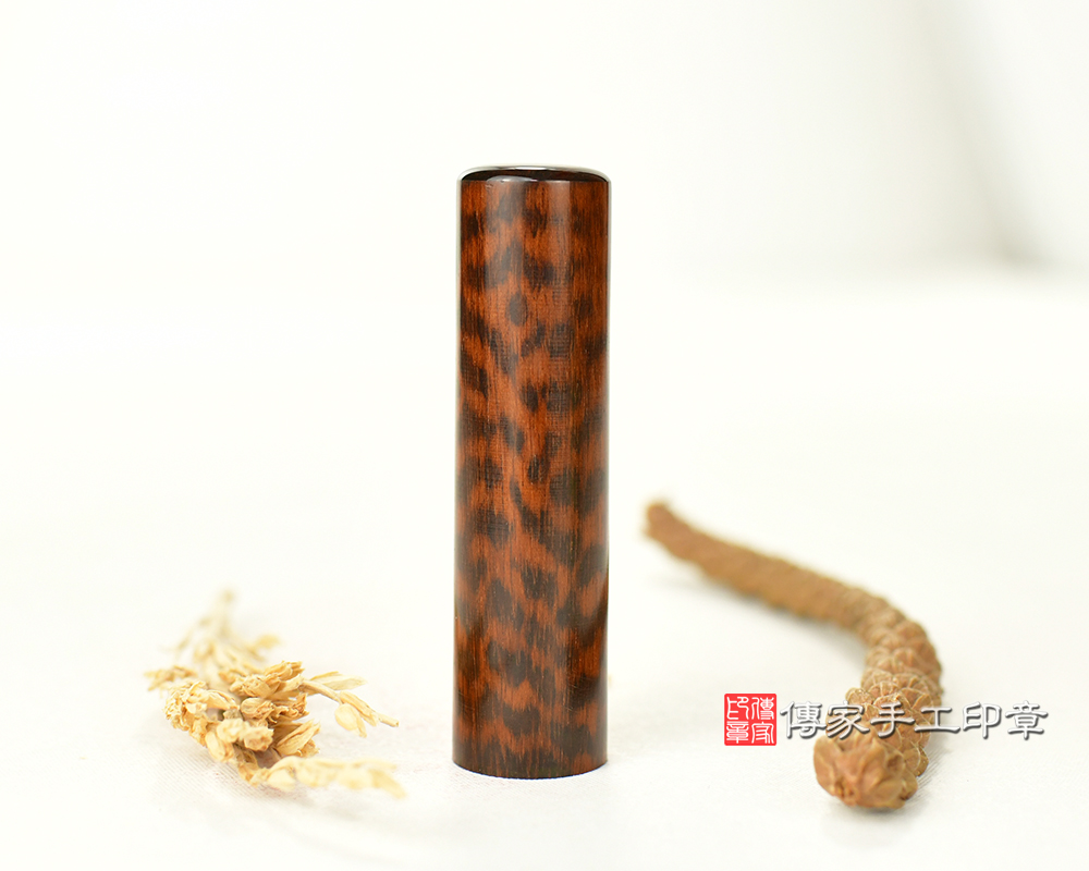木頭界的鑽石 帝王蛇木 胎毛印章 傳家手工印章 台中店113.12.30 木頭界的鑽石 帝王蛇木 胎毛印章 傳家手工印章 台中店113.12.30