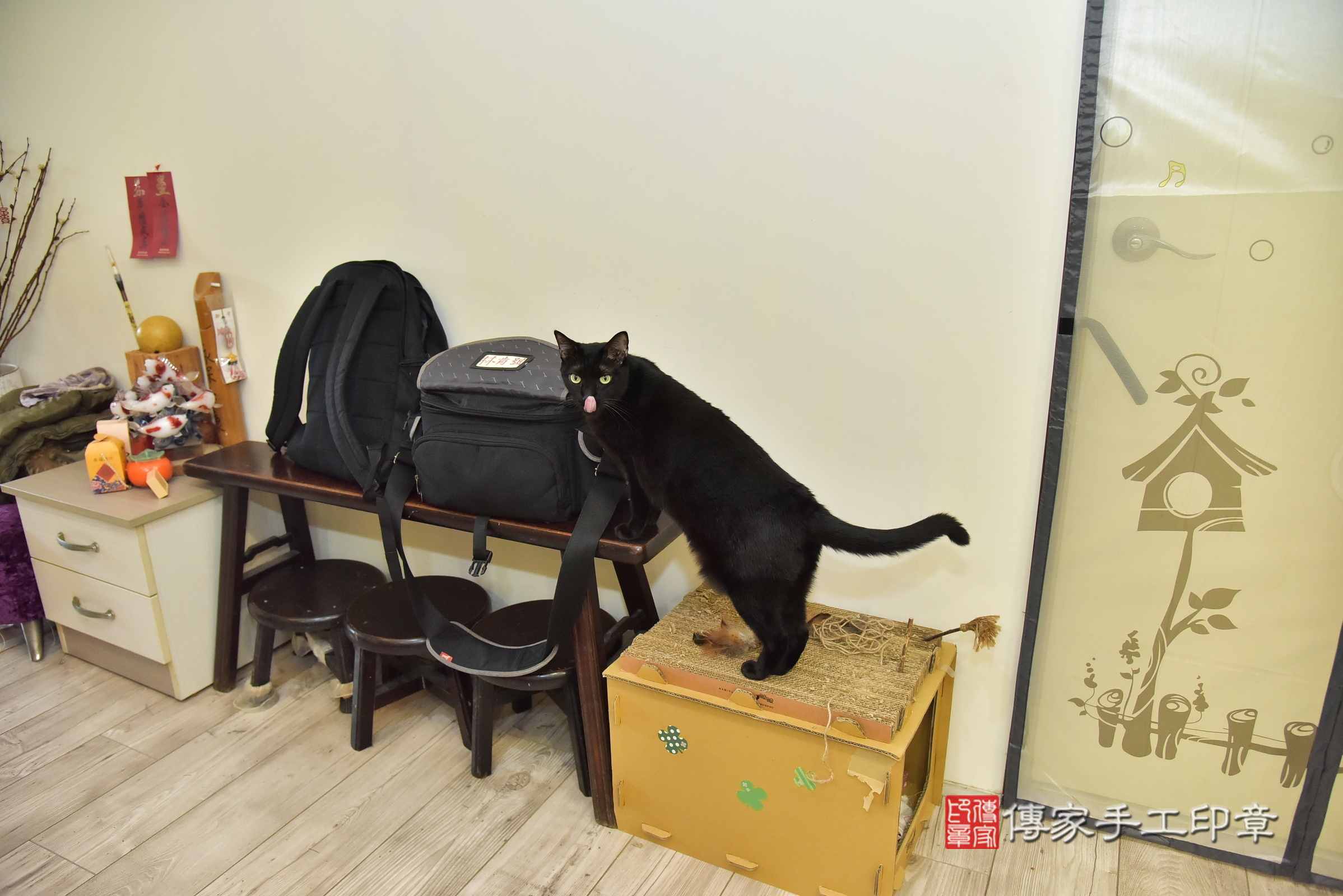 樂樂寶寶(新北市永和區到府嬰兒樂樂寶寶滿月剃頭理髮、到府嬰兒剃胎毛儀式吉祥話)。到府剃頭剃胎毛主持、專業拍照、證書。★購買「臍帶章、肚臍章、胎毛筆刷印章」贈送：剃頭、收涎、抓周，三選一。2024.12.9，照片5