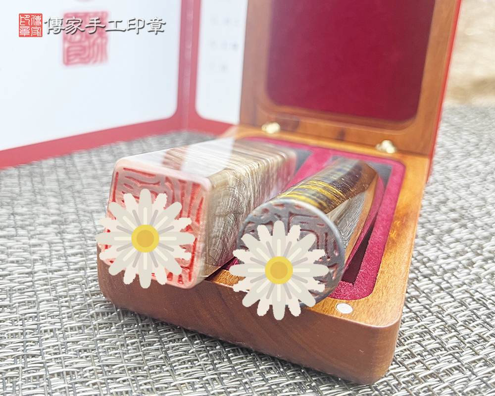 黃藍虎木化石臍帶章