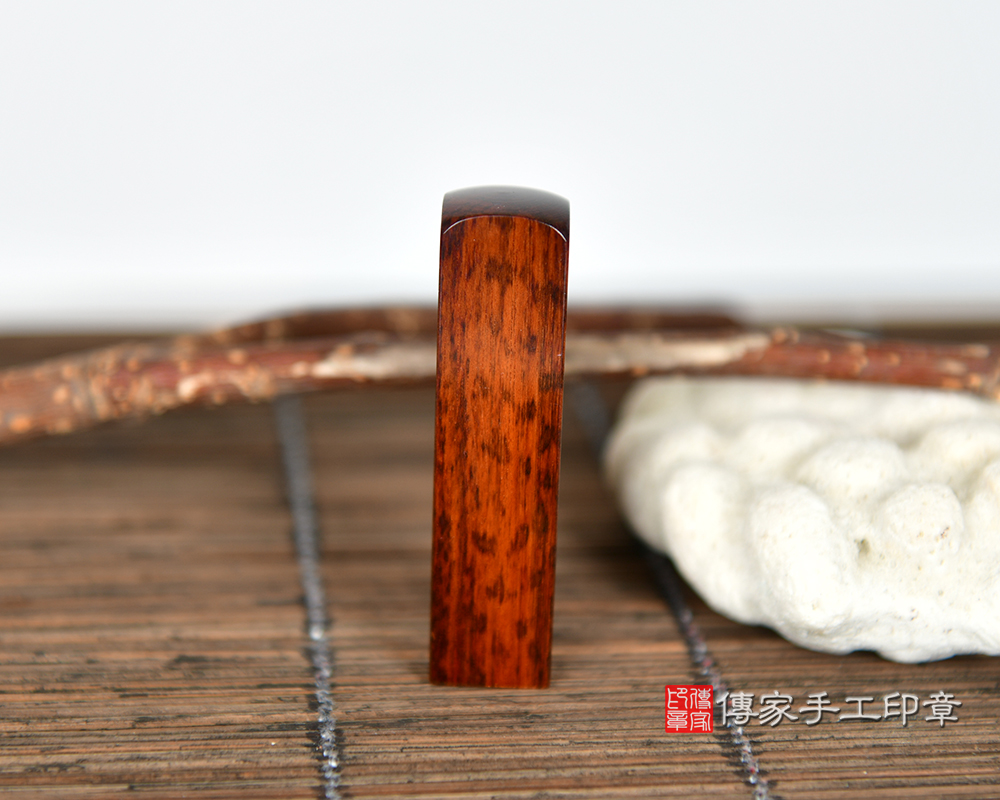 磅礡且具原始張力的帝王之氣。亞馬遜帝王蛇木 傳家手工印章 新竹店 115.8.12 磅礡且具原始張力的帝王之氣。亞馬遜帝王蛇木 傳家手工印章 新竹店 115.8.12