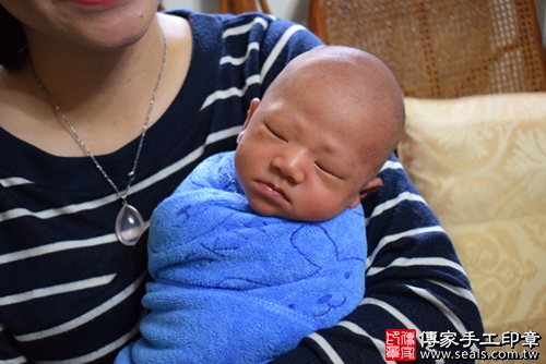 洪寶寶(高雄前鎮區)--製作胎 .....照:0