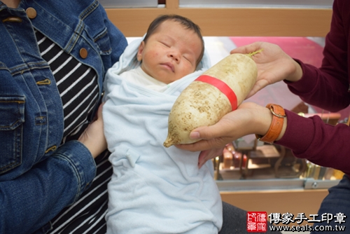剃胎毛、滿月剃頭、嬰兒剃頭、嬰兒理髮、嬰兒剃髮、嬰兒剃胎毛、嬰兒滿月剃頭、寶寶剃頭、剃胎毛儀式、剃胎毛吉祥話、滿月剃頭儀式、滿月剃頭吉祥話、寶寶剃胎毛、寶寶滿月剃頭理髮、 高雄市鳳山地區剃胎毛、高雄市鳳山地區滿月剃頭、高雄市鳳山地區嬰兒剃頭剃胎毛、高雄市鳳山地區嬰兒理髮、高雄市嬰兒剃髮、蔣寶寶(高雄鳳山區嬰兒寶寶滿月剃頭理髮、免費嬰兒剃胎毛儀式吉祥話)。中國風會場，爸媽寶貝免費穿「日中韓」古裝禮服。專業拍照、DVD光碟、證書。★購買「臍帶章、肚臍章、胎毛筆刷印章」贈送：剃頭、收涎、抓周，三選一。2017.11.11照片13