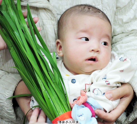 徐寶寶(新北永和區嬰兒寶寶滿月剃頭理髮、免費嬰兒剃胎毛儀式吉祥話)。中國風會場，爸媽寶貝免費穿「日中韓」古裝禮服。專業拍照、DVD光碟、證書。★購買「臍帶章、肚臍章、胎毛筆刷印章」贈送：剃頭、收涎、抓周，三選一。 2015.02.09 照片9