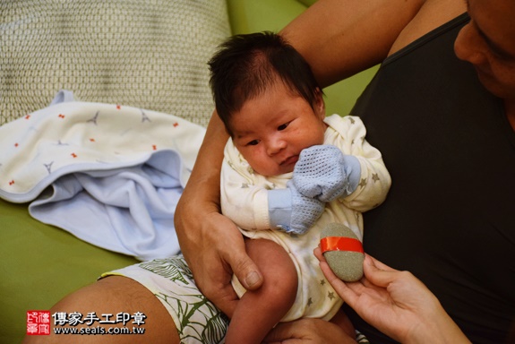 剃胎毛、滿月剃頭、嬰兒剃頭、嬰兒理髮、嬰兒剃髮、嬰兒剃胎毛、嬰兒滿月剃頭、寶寶剃頭、剃胎毛儀式、剃胎毛吉祥話、滿月剃頭儀式、滿月剃頭吉祥話、寶寶剃胎毛、寶寶滿月剃頭理髮、 台中西屯區剃胎毛、台中西屯區滿月剃頭、 台中西屯區嬰兒剃頭剃胎毛、台中西屯區嬰兒理髮、台中西屯區嬰兒剃髮、劉寶寶(台中西屯區到府嬰兒寶寶滿月剃頭理髮、免費到府嬰兒剃胎毛儀式吉祥話)。到府剃頭剃胎毛主持、專業拍照、DVD光碟、證書。★購買「臍帶章、肚臍章、胎毛筆刷印章」贈送：剃頭、收涎、抓周，三選一。2016.07.20  照片5