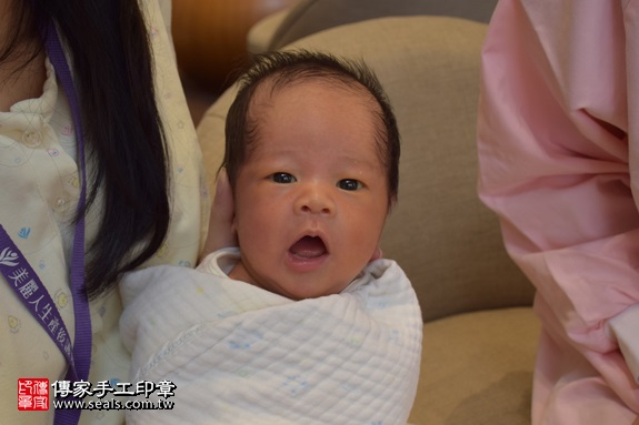 剃胎毛、滿月剃頭、嬰兒剃頭、嬰兒理髮、嬰兒剃髮、嬰兒剃胎毛、嬰兒滿月剃頭、寶寶剃頭、剃胎毛儀式、剃胎毛吉祥話、滿月剃頭儀式、滿月剃頭吉祥話、寶寶剃胎毛、寶寶滿月剃頭理髮、 新北市三重地區剃胎毛、新北市三重地區滿月剃頭、新北市三重地區嬰兒剃頭剃胎毛、新北市三重地區嬰兒理髮、新北市嬰兒剃髮、張寶寶(新北三重區到府嬰兒寶寶滿月剃頭理髮、免費到府嬰兒剃胎毛儀式吉祥話)。到府剃頭剃胎毛主持、專業拍照、DVD光碟、證書。★購買「臍帶章、肚臍章、胎毛筆刷印章」贈送：剃頭、收涎、抓周，三選一。2017.09.09照片2