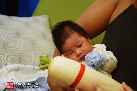 剃胎毛、滿月剃頭、嬰兒剃頭、嬰兒理髮、嬰兒剃髮、嬰兒剃胎毛、嬰兒滿月剃頭、寶寶剃頭、剃胎毛儀式、剃胎毛吉祥話、滿月剃頭儀式、滿月剃頭吉祥話、寶寶剃胎毛、寶寶滿月剃頭理髮、 台中西屯區剃胎毛、台中西屯區滿月剃頭、 台中西屯區嬰兒剃頭剃胎毛、台中西屯區嬰兒理髮、台中西屯區嬰兒剃髮、劉寶寶(台中西屯區到府嬰兒寶寶滿月剃頭理髮、免費到府嬰兒剃胎毛儀式吉祥話)。到府剃頭剃胎毛主持、專業拍照、DVD光碟、證書。★購買「臍帶章、肚臍章、胎毛筆刷印章」贈送：剃頭、收涎、抓周，三選一。2016.07.20  照片10