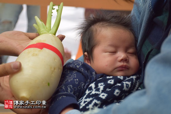 剃胎毛、滿月剃頭、嬰兒剃頭、嬰兒理髮、嬰兒剃髮、嬰兒剃胎毛、嬰兒滿月剃頭、寶寶剃頭、剃胎毛儀式、剃胎毛吉祥話、滿月剃頭儀式、滿月剃頭吉祥話、寶寶剃胎毛、寶寶滿月剃頭理髮、台中北區剃胎毛、台中北區滿月剃頭、台中北區嬰兒剃頭剃胎毛、台中北區嬰兒理髮、台中北區嬰兒剃髮、蘇寶寶(台中北區嬰兒寶寶滿月剃頭理髮、免費嬰兒剃胎毛儀式吉祥話)。中國風會場，爸媽寶貝免費穿「日中韓」古裝禮服。專業拍照、DVD光碟、證書。★購買「臍帶章、肚臍章、胎毛筆刷印章」贈送：剃頭、收涎、抓周，三選一。2017.01.12 照片12