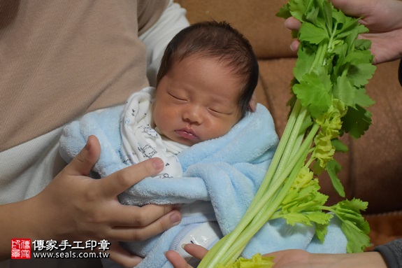 剃胎毛、滿月剃頭、嬰兒剃頭、嬰兒理髮、嬰兒剃髮、嬰兒剃胎毛、嬰兒滿月剃頭、寶寶剃頭、剃胎毛儀式、剃胎毛吉祥話、滿月剃頭儀式、滿月剃頭吉祥話、寶寶剃胎毛、寶寶滿月剃頭理髮、 台北萬華區剃胎毛、台北萬華區滿月剃頭、 台北萬華區嬰兒剃頭剃胎毛、台北萬華區嬰兒理髮、台北萬華區嬰兒剃髮、黃寶寶(台北萬華區到府嬰兒寶寶滿月剃頭理髮、免費到府嬰兒剃胎毛儀式吉祥話)。到府剃頭剃胎毛主持、專業拍照、DVD光碟、證書。★購買「臍帶章、肚臍章、胎毛筆刷印章」贈送：剃頭、收涎、抓周，三選一。2017.01.24  照片10