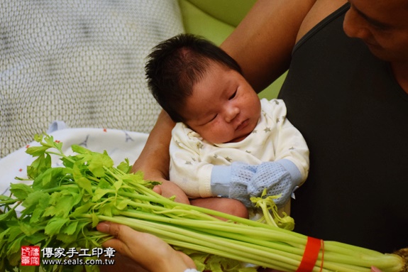 剃胎毛、滿月剃頭、嬰兒剃頭、嬰兒理髮、嬰兒剃髮、嬰兒剃胎毛、嬰兒滿月剃頭、寶寶剃頭、剃胎毛儀式、剃胎毛吉祥話、滿月剃頭儀式、滿月剃頭吉祥話、寶寶剃胎毛、寶寶滿月剃頭理髮、 台中西屯區剃胎毛、台中西屯區滿月剃頭、 台中西屯區嬰兒剃頭剃胎毛、台中西屯區嬰兒理髮、台中西屯區嬰兒剃髮、劉寶寶(台中西屯區到府嬰兒寶寶滿月剃頭理髮、免費到府嬰兒剃胎毛儀式吉祥話)。到府剃頭剃胎毛主持、專業拍照、DVD光碟、證書。★購買「臍帶章、肚臍章、胎毛筆刷印章」贈送：剃頭、收涎、抓周，三選一。2016.07.20  照片8