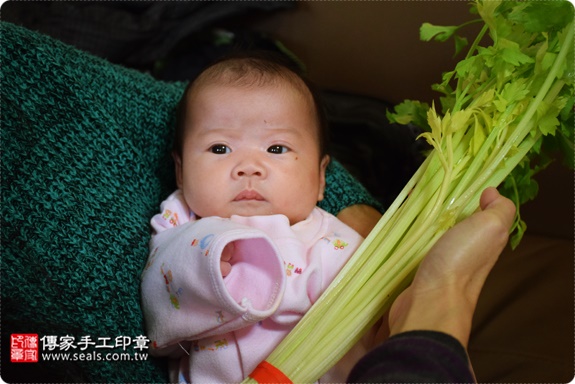 剃胎毛、滿月剃頭、嬰兒剃頭、嬰兒理髮、嬰兒剃髮、嬰兒剃胎毛、嬰兒滿月剃頭、寶寶剃頭、剃胎毛儀式、剃胎毛吉祥話、滿月剃頭儀式、滿月剃頭吉祥話、寶寶剃胎毛、寶寶滿月剃頭理髮、 新北三重區剃胎毛、新北三重區滿月剃頭、 新北三重區嬰兒剃頭剃胎毛、新北三重區嬰兒理髮、新北三重區嬰兒剃髮、朱寶寶(新北三重區到府嬰兒寶寶滿月剃頭理髮、免費到府嬰兒剃胎毛儀式吉祥話)。到府剃頭剃胎毛主持、專業拍照、DVD光碟、證書。★購買「臍帶章、肚臍章、胎毛筆刷印章」贈送：剃頭、收涎、抓周，三選一。2016.12.16  照片12