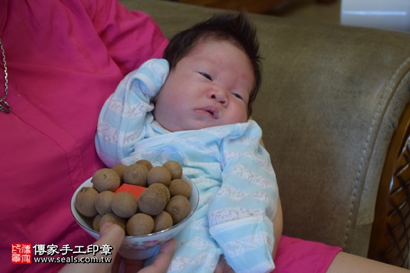 剃胎毛、滿月剃頭、嬰兒剃頭、嬰兒理髮、嬰兒剃髮、嬰兒剃胎毛、嬰兒滿月剃頭、寶寶剃頭、剃胎毛儀式、剃胎毛吉祥話、滿月剃頭儀式、滿月剃頭吉祥話、寶寶剃胎毛、寶寶滿月剃頭理髮、 新北淡水區剃胎毛、新北淡水區滿月剃頭、 新北淡水區嬰兒剃頭剃胎毛、新北淡水區嬰兒理髮、新北淡水區嬰兒剃髮、黃寶寶(新北淡水區到府嬰兒寶寶滿月剃頭理髮、免費到府嬰兒剃胎毛儀式吉祥話)。到府剃頭剃胎毛主持、專業拍照、DVD光碟、證書。★購買「臍帶章、肚臍章、胎毛筆刷印章」贈送：剃頭、收涎、抓周，三選一。2017.06.07  照片7