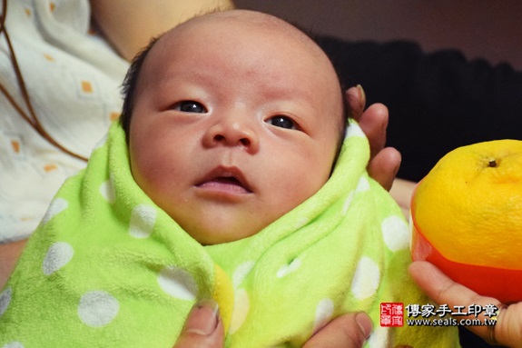 剃胎毛、滿月剃頭、嬰兒剃頭、嬰兒理髮、嬰兒剃髮、嬰兒剃胎毛、嬰兒滿月剃頭、寶寶剃頭、剃胎毛儀式、剃胎毛吉祥話、滿月剃頭儀式、滿月剃頭吉祥話、寶寶剃胎毛、寶寶滿月剃頭理髮、 台中大甲區剃胎毛、台中大甲區滿月剃頭、 台中大甲區嬰兒剃頭剃胎毛、台中大甲區嬰兒理髮、台中大甲區嬰兒剃髮、李寶寶(台中大甲區到府嬰兒寶寶滿月剃頭理髮、免費到府嬰兒剃胎毛儀式吉祥話)。到府剃頭剃胎毛主持、專業拍照、DVD光碟、證書。★購買「臍帶章、肚臍章、胎毛筆刷印章」贈送：剃頭、收涎、抓周，三選一。2016.12.17  照片9