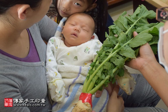 剃胎毛、滿月剃頭、嬰兒剃頭、嬰兒理髮、嬰兒剃髮、嬰兒剃胎毛、嬰兒滿月剃頭、寶寶剃頭、剃胎毛儀式、剃胎毛吉祥話、滿月剃頭儀式、滿月剃頭吉祥話、寶寶剃胎毛、寶寶滿月剃頭理髮、 台中大雅區剃胎毛、台中大雅區滿月剃頭、 台中大雅區嬰兒剃頭剃胎毛、台中大雅區嬰兒理髮、台中大雅區嬰兒剃髮、王寶寶(台中大雅區到府嬰兒寶寶滿月剃頭理髮、免費到府嬰兒剃胎毛儀式吉祥話)。到府剃頭剃胎毛主持、專業拍照、DVD光碟、證書。★購買「臍帶章、肚臍章、胎毛筆刷印章」贈送：剃頭、收涎、抓周，三選一。2017.01.06  照片11