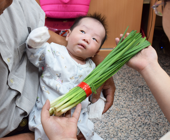 施寶寶(台中北區嬰兒寶寶滿月剃頭理髮、免費嬰兒剃胎毛儀式吉祥話)。中國風會場，爸媽寶貝免費穿「日中韓」古裝禮服。專業拍照、DVD光碟、證書。★購買「臍帶章、肚臍章、胎毛筆刷印章」贈送：剃頭、收涎、抓周，三選一。 2015.06.18 照片11