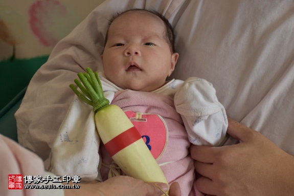 剃胎毛、滿月剃頭、嬰兒剃頭、嬰兒理髮、嬰兒剃髮、嬰兒剃胎毛、嬰兒滿月剃頭、寶寶剃頭、剃胎毛儀式、剃胎毛吉祥話、滿月剃頭儀式、滿月剃頭吉祥話、寶寶剃胎毛、寶寶滿月剃頭理髮、 台北大同區剃胎毛、台北大同區滿月剃頭、 台北大同區嬰兒剃頭剃胎毛、台北大同區嬰兒理髮、台北大同區嬰兒剃髮、潘寶寶(台北大同區到府嬰兒寶寶滿月剃頭理髮、免費到府嬰兒剃胎毛儀式吉祥話)。到府剃頭剃胎毛主持、專業拍照、DVD光碟、證書。★購買「臍帶章、肚臍章、胎毛筆刷印章」贈送：剃頭、收涎、抓周，三選一。2017.02.22  照片10