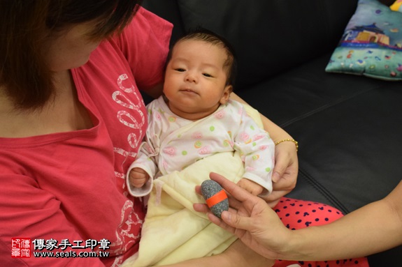 剃胎毛、滿月剃頭、嬰兒剃頭、嬰兒理髮、嬰兒剃髮、嬰兒剃胎毛、嬰兒滿月剃頭、寶寶剃頭、剃胎毛儀式、剃胎毛吉祥話、滿月剃頭儀式、滿月剃頭吉祥話、寶寶剃胎毛、寶寶滿月剃頭理髮、 新北市蘆洲地區剃胎毛、新北市蘆洲地區滿月剃頭、新北市蘆洲地區嬰兒剃頭剃胎毛、新北市蘆洲地區嬰兒理髮、新北市嬰兒剃髮、陳寶寶(新北蘆洲區到府嬰兒寶寶滿月剃頭理髮、免費到府嬰兒剃胎毛儀式吉祥話)。到府剃頭剃胎毛主持、專業拍照、DVD光碟、證書。★購買「臍帶章、肚臍章、胎毛筆刷印章」贈送：剃頭、收涎、抓周，三選一。2017.09.03照片5